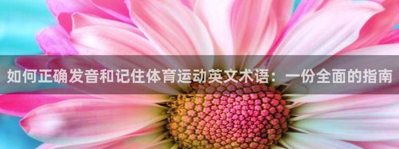 qy球友会体育网站：如何正确发音和记住体育运动英文术语：一份全面的指南