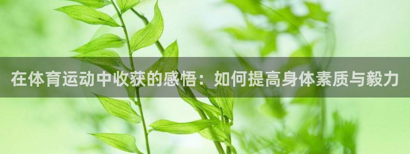球友会体育最新版下载：在体育运动中收获的感悟：如何提高身体素质与毅力
