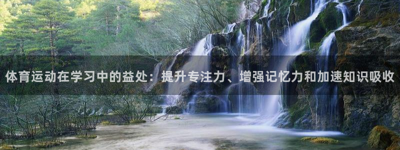 qy球友会体育：体育运动在学习中的益处：提升专注力、增强记忆力和加速知识吸收