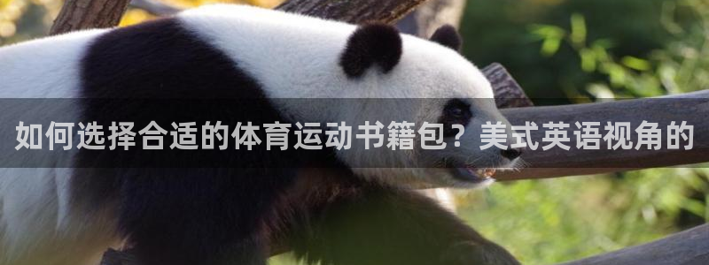 球友会体育：如何选择合适的体育运动书籍包？美式英语视角的