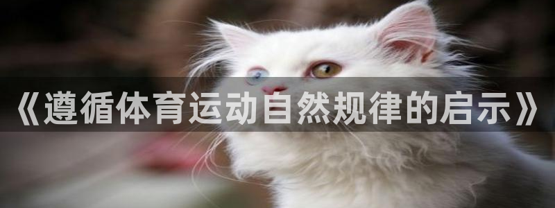 球友会体育最新版下载：《遵循体育运动自然规律的启示》
